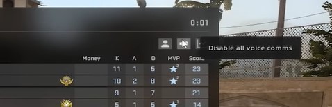 cs go mute