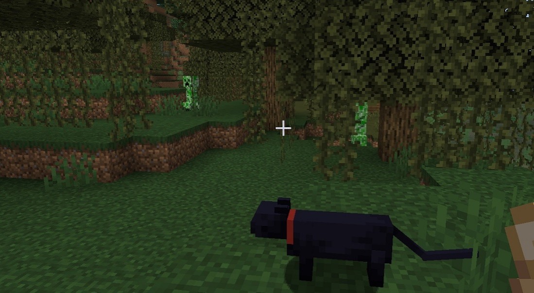 tame a cat in Minecraft