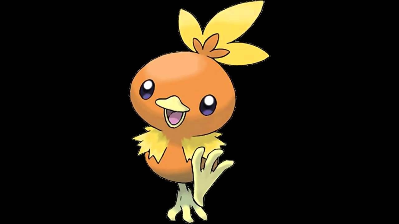 Torchic