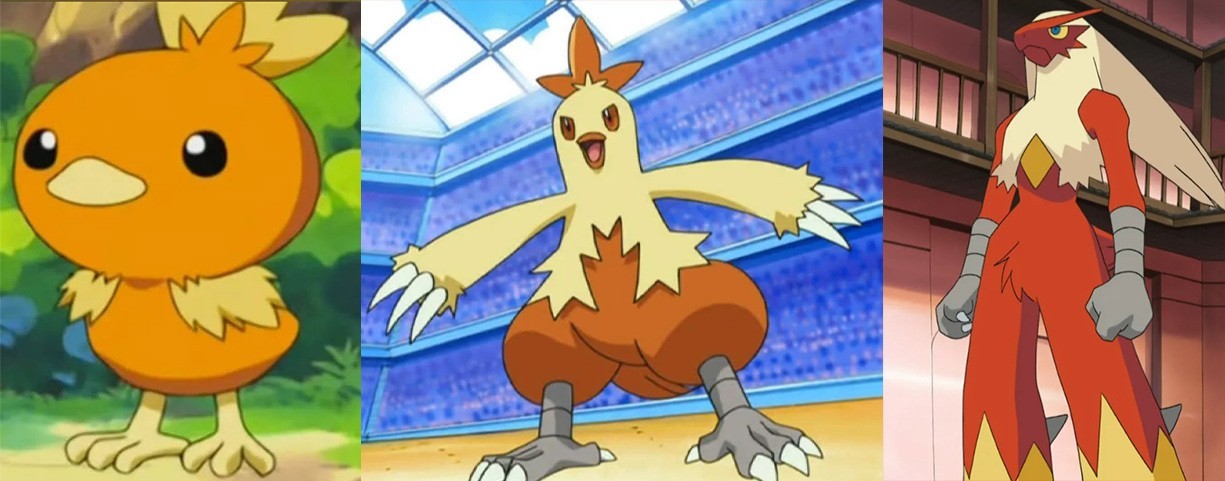 Torchic