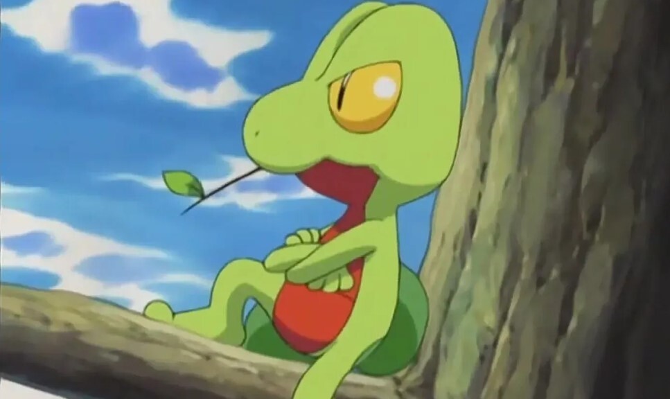 Treecko