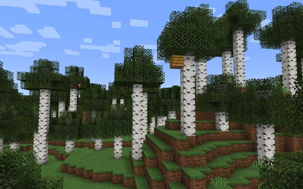 birch minecraft