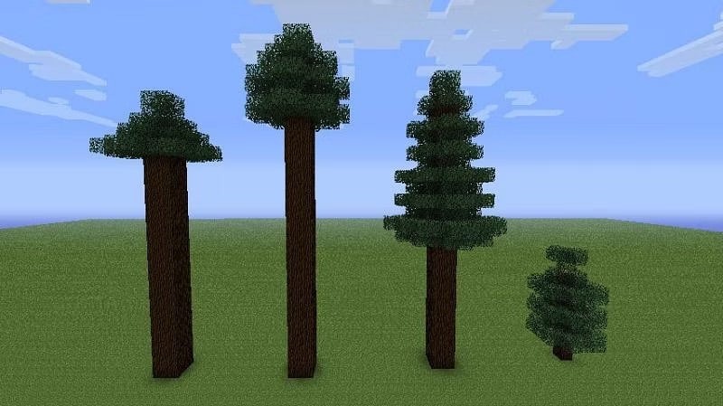 spruce minecraft