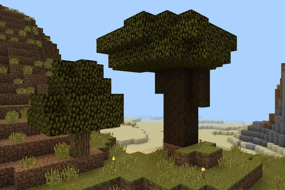 dark oak minecraft