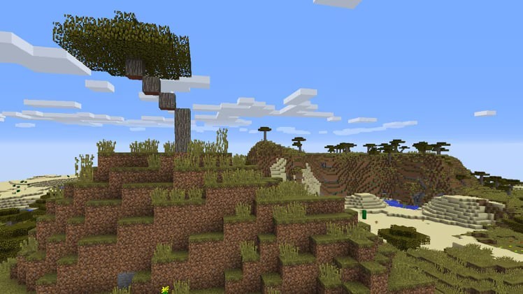 acacia minecraft