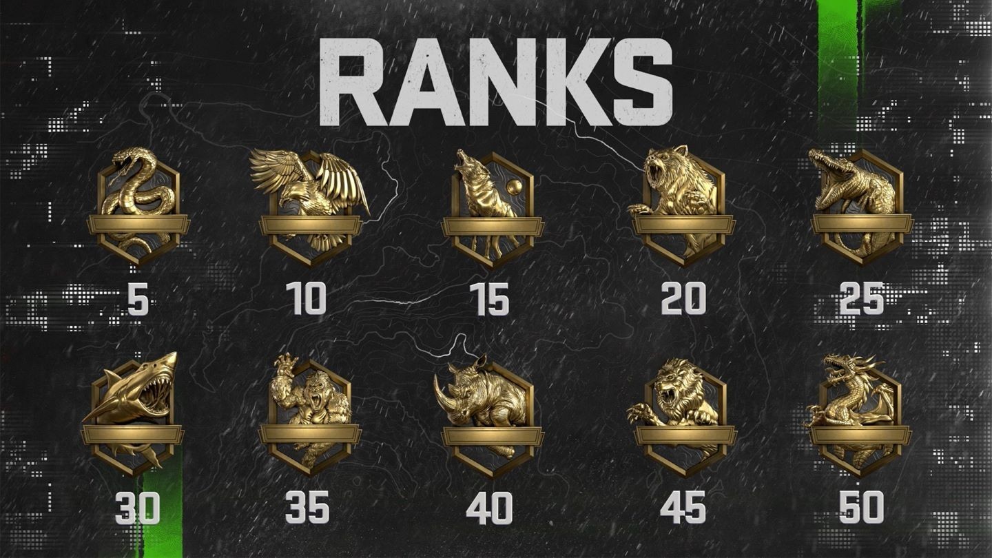 rank system in CoD MW2