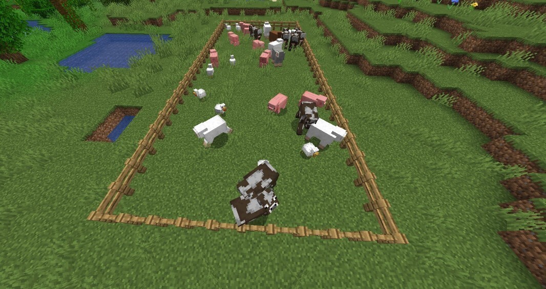 Where does animal husbandry begin in Minecraft