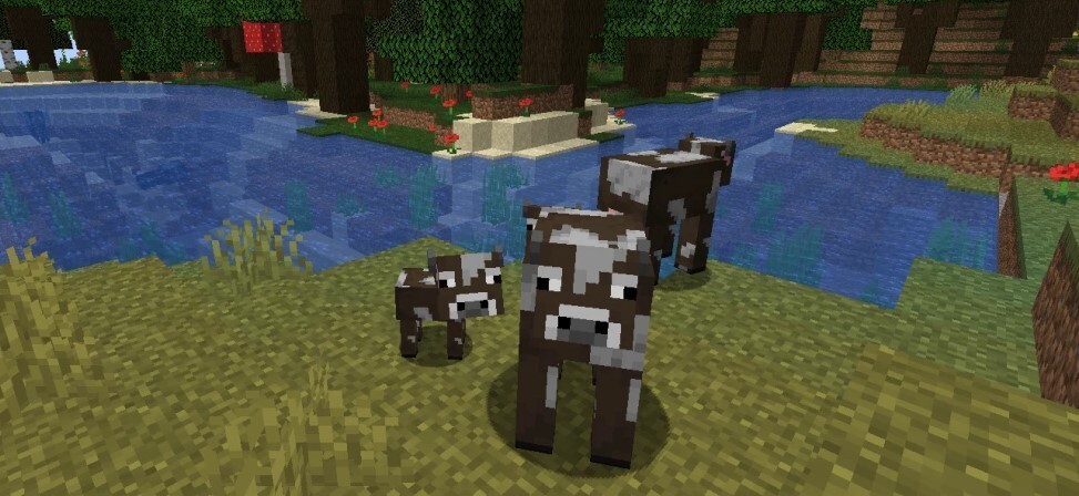 animal in Minecraft