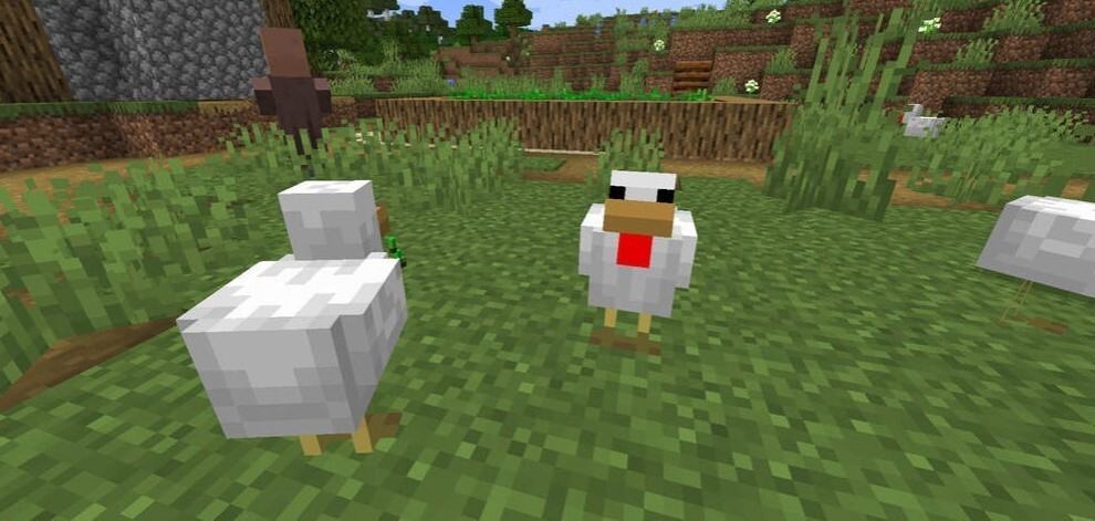 chicken in Minecraft