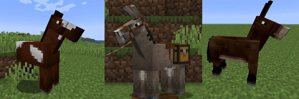 Horses donkeys mules in Minecraft