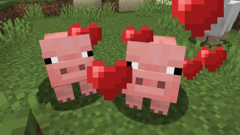 Breeding animals in Minecraft