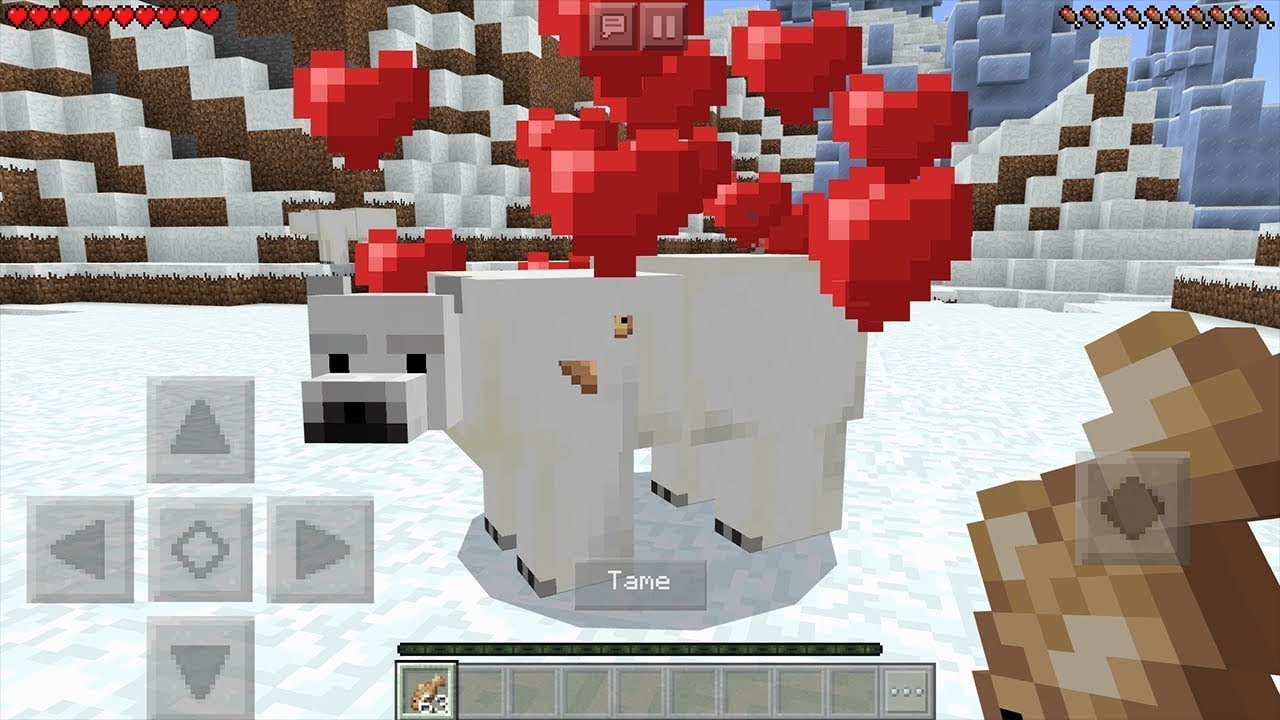 how to tame a polar bear in Minecraft