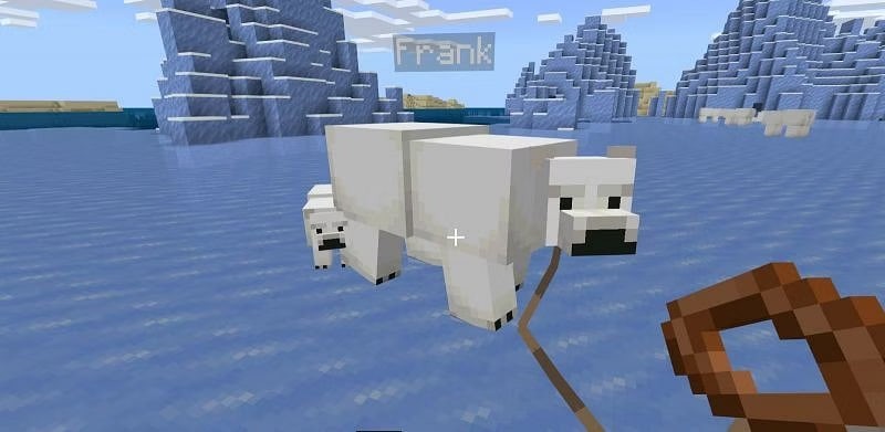 how to tame a polar bear in Minecraft