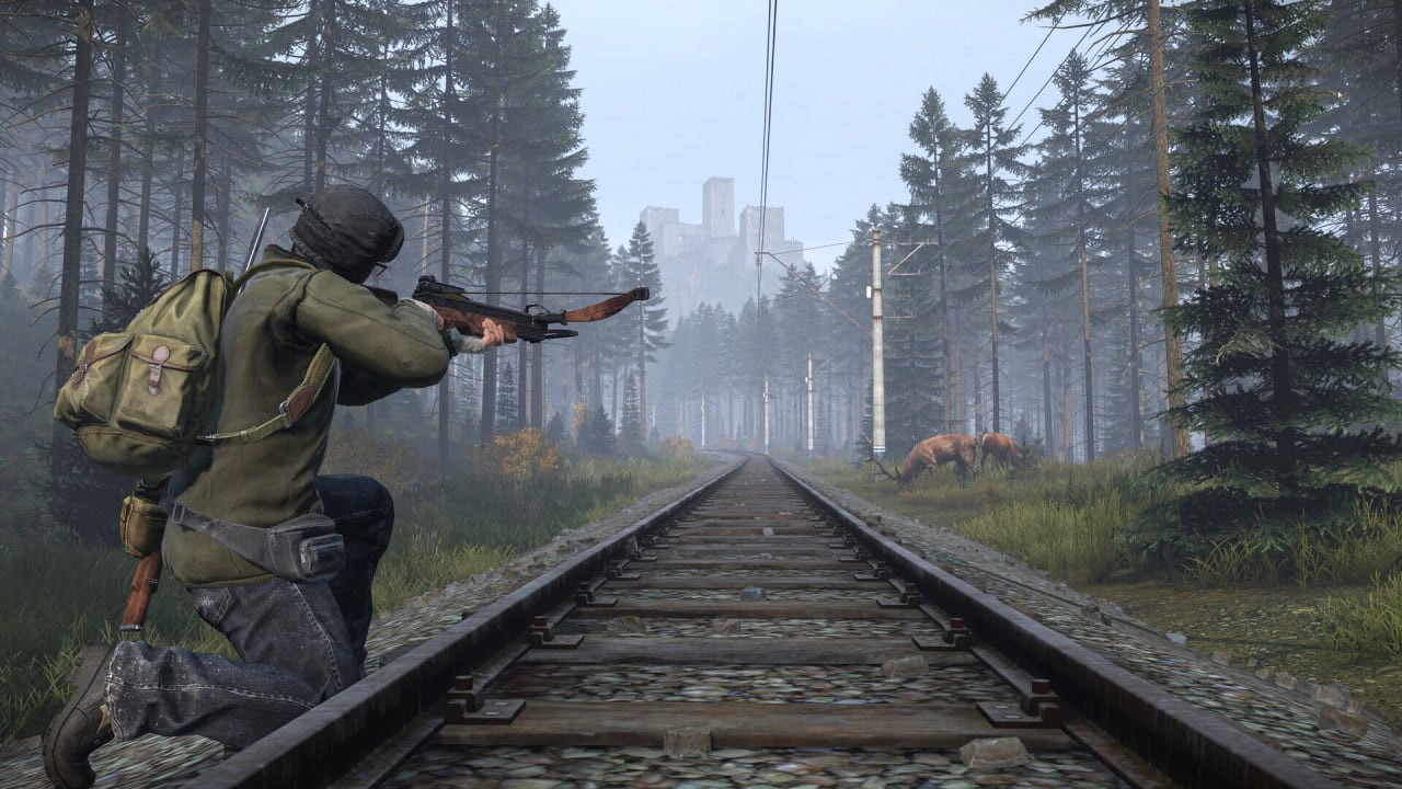 DayZ