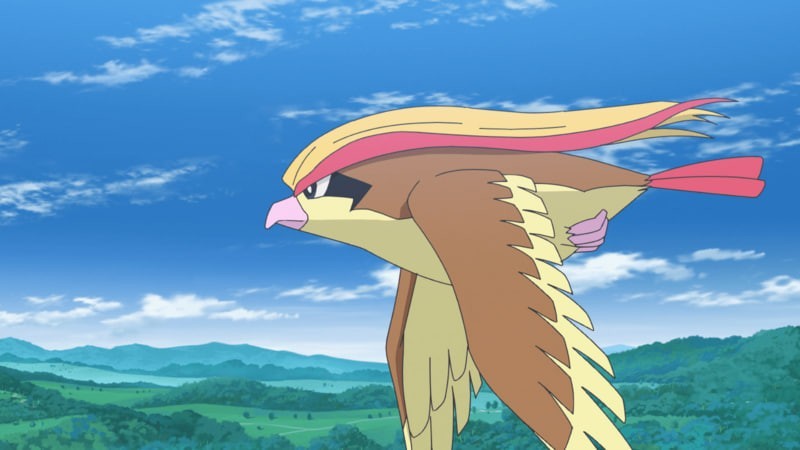 Pidgeot