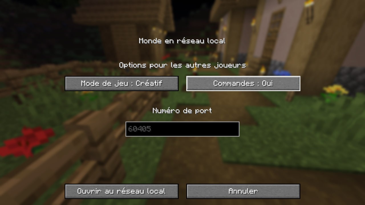 Comment jouer à Minecraft sur un réseau local