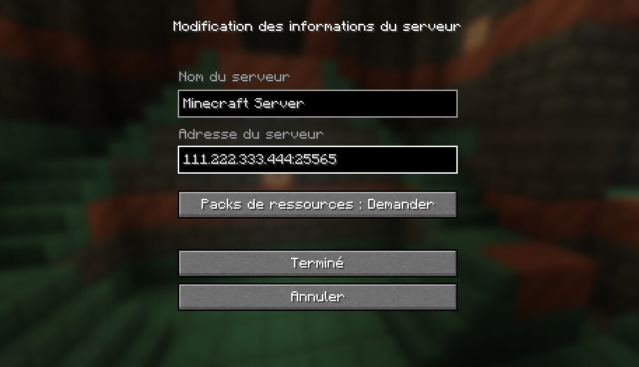 Comment se connecter au serveur Minecraft