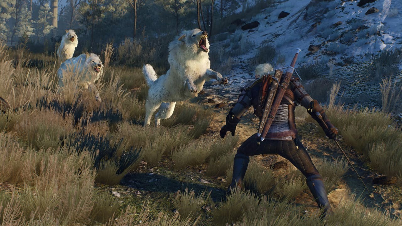 The Witcher 3 Wild Hunt