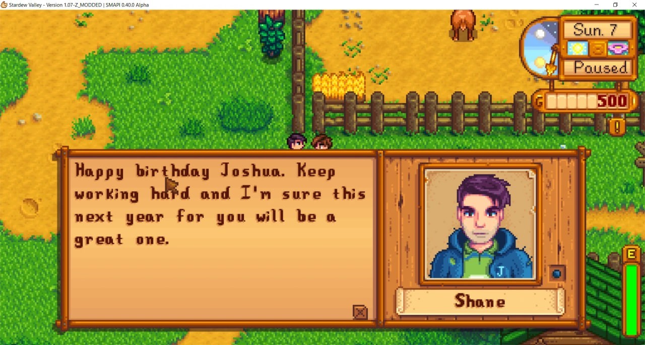 Birthday Stardew Valley