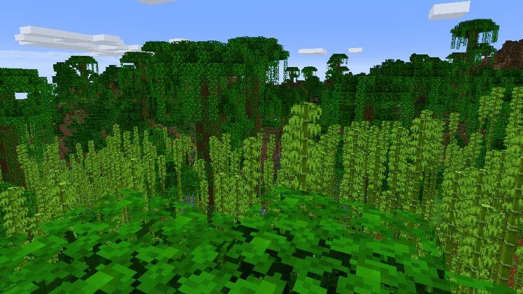 Bamboo Jungle