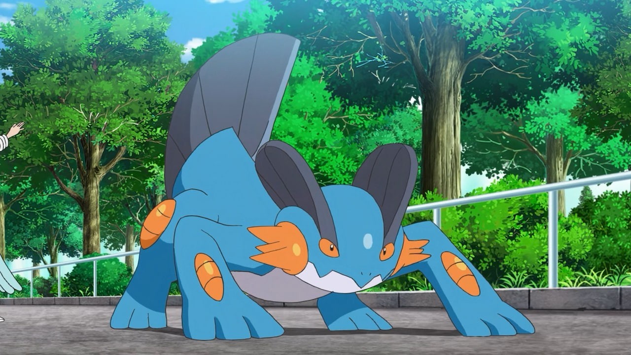 Swampert