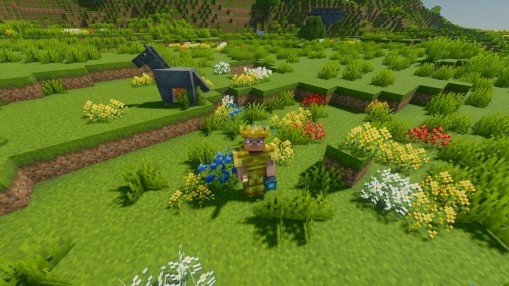 What kind of flowers are there in Minecraft