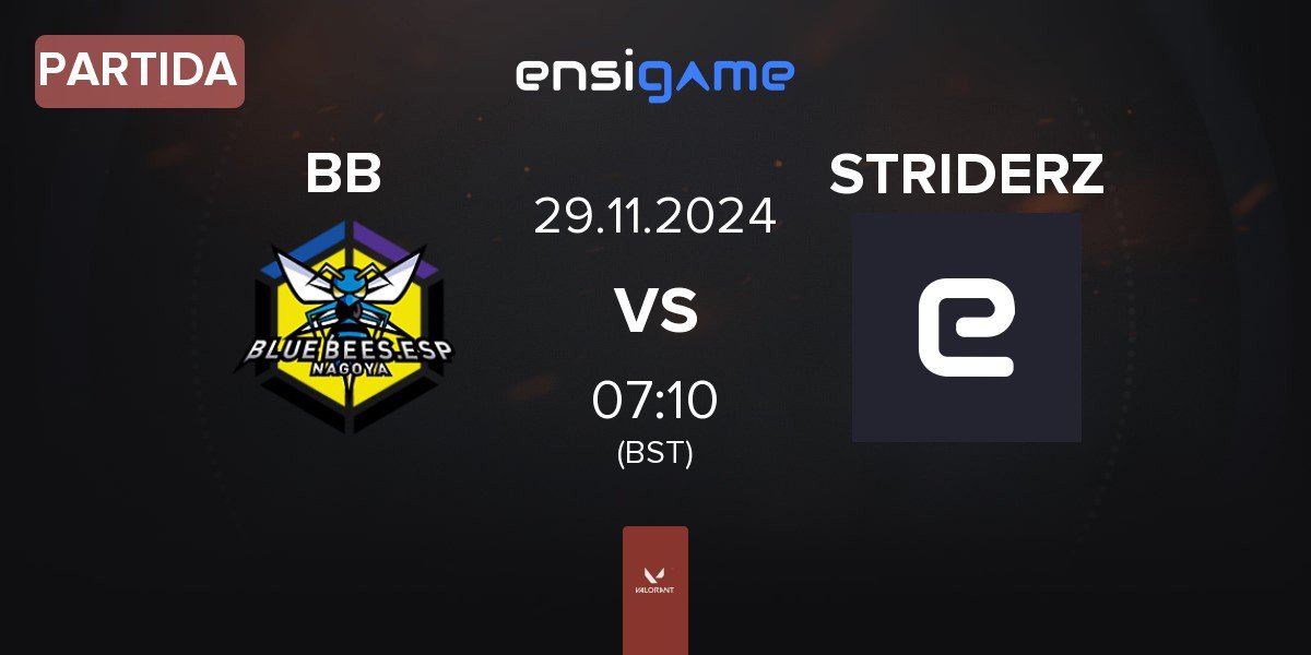 Partida BLUE BEES BB vs STRIDERZ | 29.11