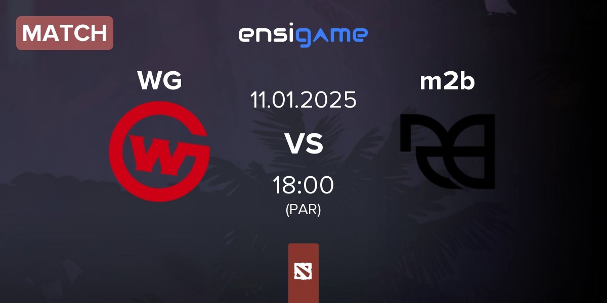 Match Wildcard Gaming WG vs Meant 2 Be m2b | 11.01