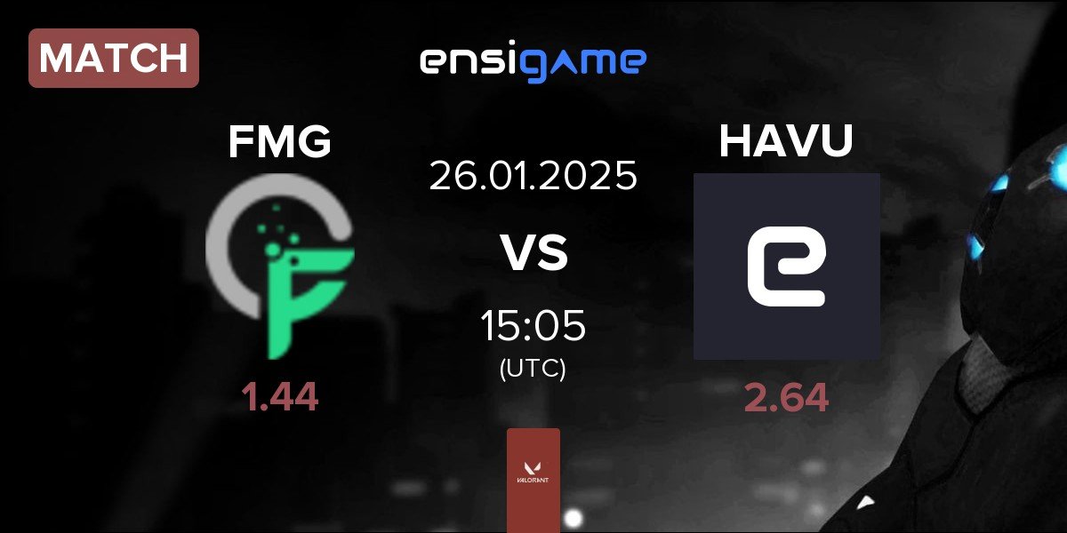 Match Formulation Gaming FMG vs HAVU Gaming HAVU | 26.01